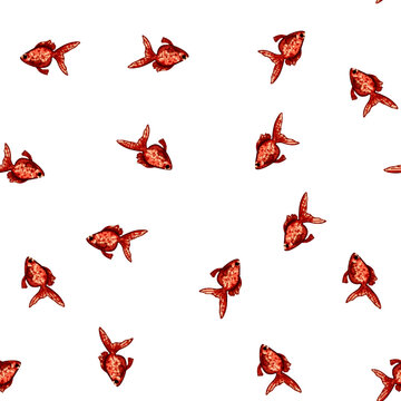 pattern oranda goldfish cartoon. ranchu shubunkin, bubbleeye telescope, water filter oranda goldfish sign vector
