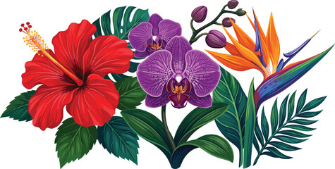 Tropical Botanical Flower Bouquet Vector Illustration with Vibrant Red Hibiscus, Purple Orchid Blossoms, Orange Bird of Paradise, and Exotic Monstera Palm Leaves © EdGe Creative