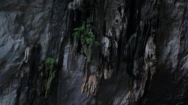 Close up of rocky cave wall and natural limestone formation