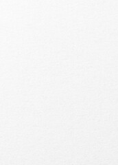 Fototapeta premium Close-up of a textured white paper surface with subtle grain patterns.