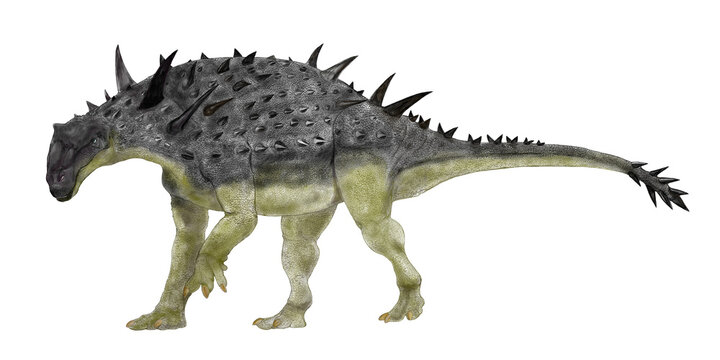 鎧竜、ハンガロサウルス（ハンガリーのトカゲ）の復元想像図。ヨーロッパの後期白亜紀の地層から産出された化石に基づく。前足が後ろ足よりやや長く、装甲による防御だけでなく、危険から逃走する脚力も有していたとされる。
