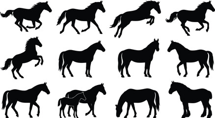 Obraz premium Running and walking horses silhouettes vector illustration set.