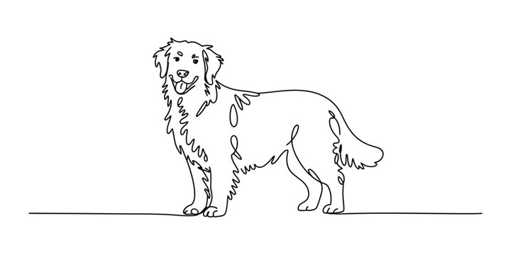 Continuous single line drawing of a happy golden retriever