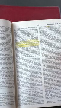 Opening to the Book of Deuteronomy Chapter 12 of the Old Testament in the Holy Bible. New Revised Standard Version. Vertical video.