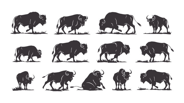Vintage American bison silhouettes set, rustic buffalo wildlife vector illustrations, black bull animal icons for outdoor branding and logo design