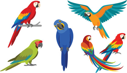 Colorful Macaw Parrot Vector Character Set Featuring Scarlet Hyacinth and Blue Gold Parrots in Flying Sitting and Perching Poses for Tropical Jungle Graphic Designs © Najir