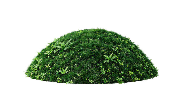 Moss mound, lush grass turf dome, forest fern patch, fresh vegetation hill, organic nature growth, botanical foliage mound, macro plant ecosystem, mossy ground surface texture, wild garden turf.