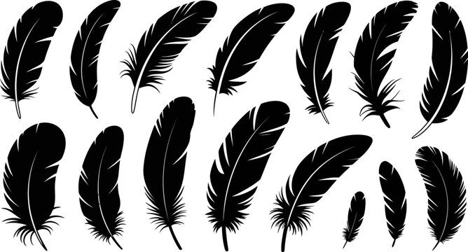 Assortment of black silhouette bird feathers in various sizes and orientations on a white background