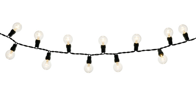 String of Incandescent Globe Lights string lights incandescent bulbs isolated on a transparent background