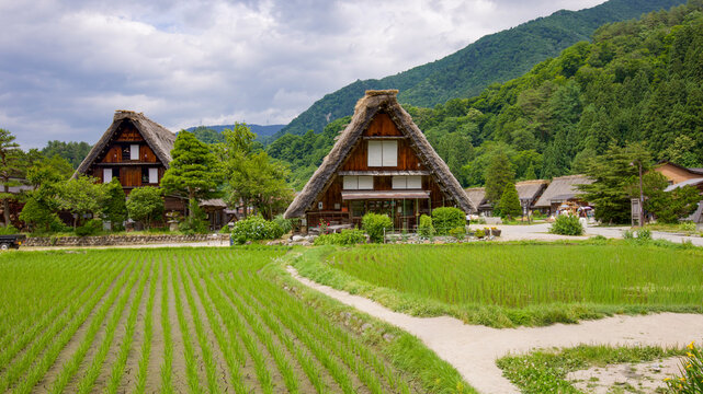 緑の中の民家