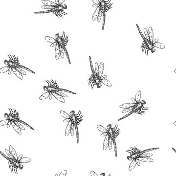 seamless pattern wings dragonfly hand drawn. flight nature, pond predator, aquatic biodiversity wings dragonfly black sketch illustration