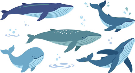 Fototapeta premium Blue Whale and Humpback Whale Vector Icon Set Featuring Various Cute Swimming Poses Water Splashes and Bubbles for Ocean Marine Life Graphic Designs