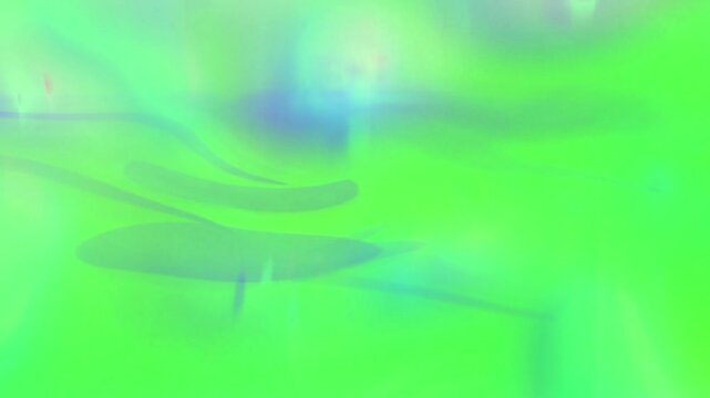 Soft abstract green light flare