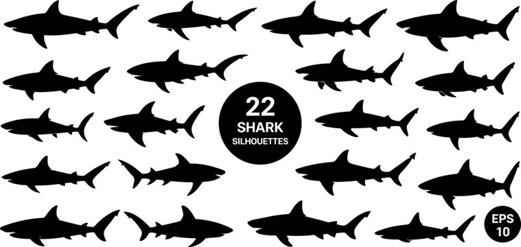 Collection of twenty two black shark silhouettes vector illustration bundle containing hammerhead great white and reef sharks
