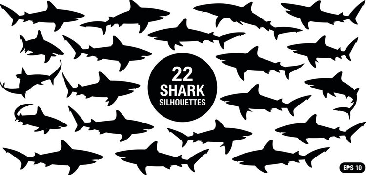 Collection of twenty two black shark silhouettes vector illustration bundle containing hammerhead great white and reef sharks