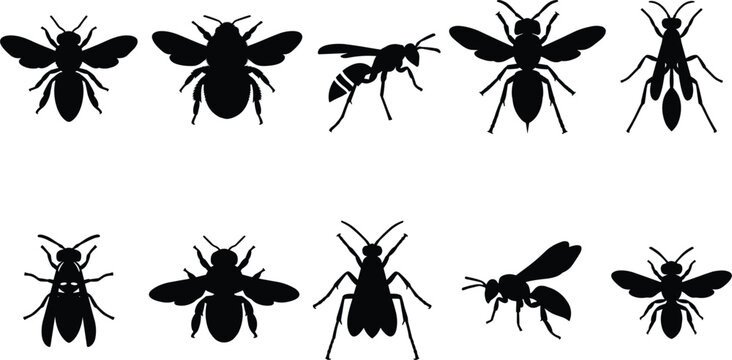 Honeybee and Wasp Insect Silhouette Icon Set Featuring Bumblebee, Hornet, and Flying Bug Symbols for Graphic Logo Designs