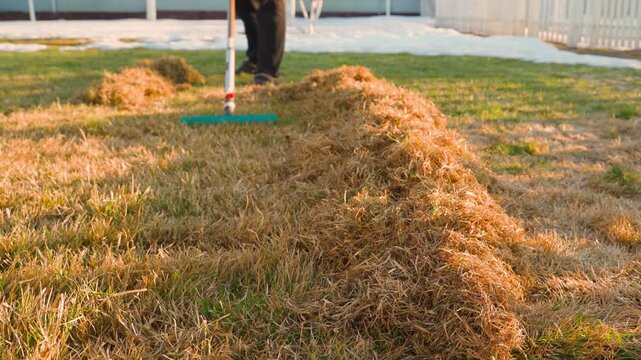 Person raking dry grass into rows on lawn during spring lawn cleanup