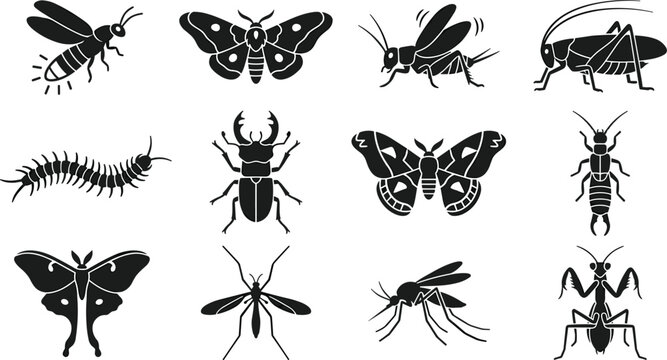 Night Insect and Bug Black Silhouette Icon Set Featuring Moth, Firefly, Beetle, Mosquito, and Mantis for Nature Graphic Design Projects