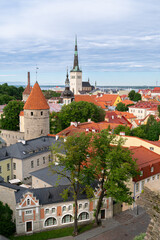 Obraz premium Vertical skyline of Tallinn Old Town featuring historic spires from Toompea viewing platform