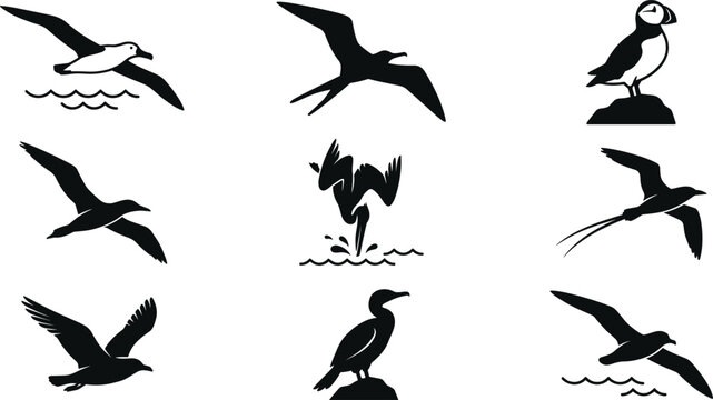 Seabird and Pelagic Marine Bird Silhouette Icon Set Featuring Pelican Albatross Puffin Frigatebird and Cormorant for Ocean Graphics