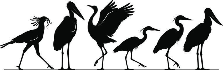 Naklejka premium Wading Bird and Large Raptor Silhouette Icon Set Featuring Crane Marabou Stork Secretary Bird and Heron for Wetland Nature Designs