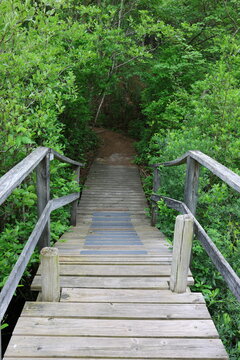 walking bridge
