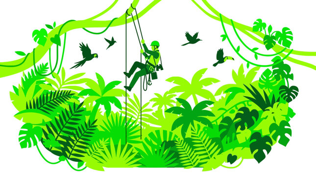 An adventurous climber rappelling down into a dense green tropical jungle.