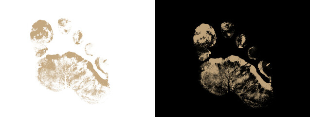 Naklejka premium Large Detailed Brown Ink Footprint on White and Black Background