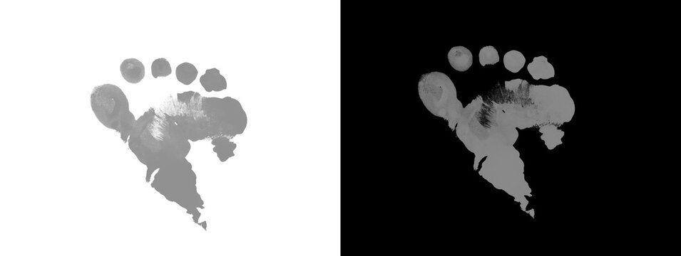 Abstract Ink Footprint or Rorschach Blot on Dual Background
