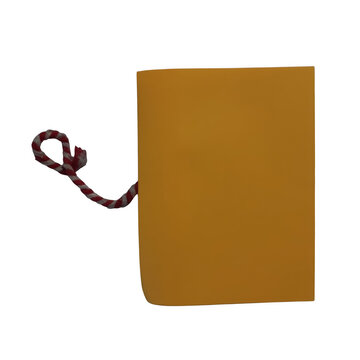 Brown paper envelope with string tie closed