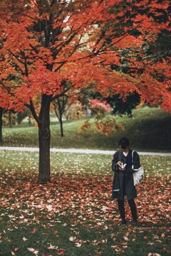 Child with backpack walking under colorful autumn tree in park