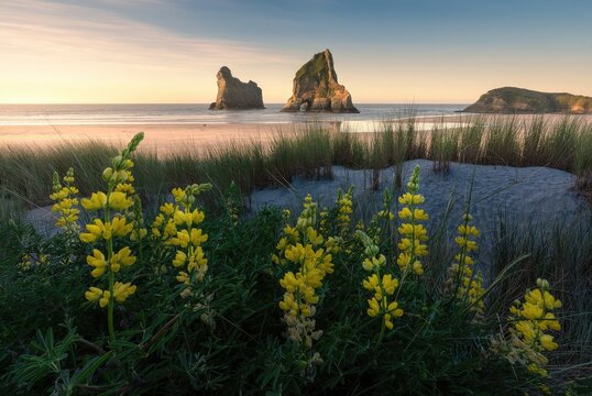 Cliffs and sea stacks at sunset with rocky shoreline and sky