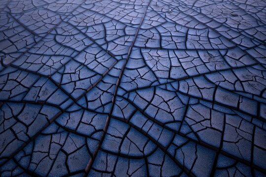 Cracked dry purple earth surface in a natural landscape