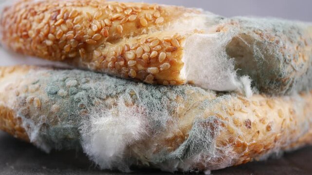 Mold growing on bread in a simple kitchen setting