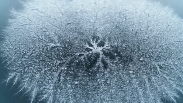 Abstract Macro Ice Crystal Pattern, Frost Snowflake Fractal Formation Art