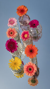 art work with colorful gerbera flowers in glass vases placed on mirror with blue sky reflection