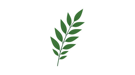Fototapeta premium Green botanical leaf branch illustration, organic foliage sprig for nature design, minimalist herbal plant element for eco-friendly branding isolated PNG with Transparent Background