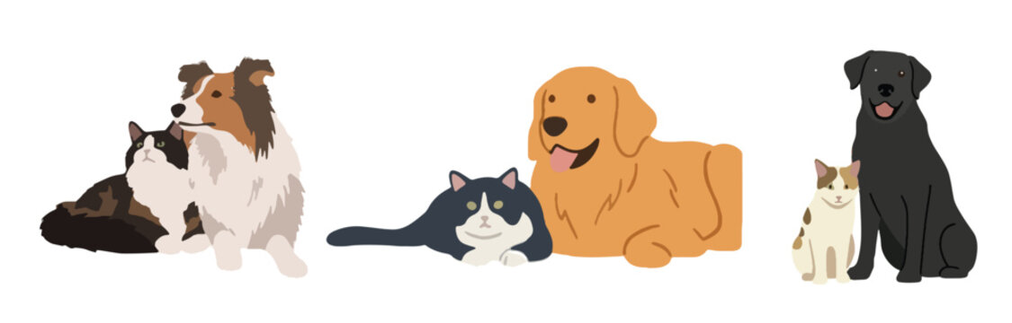 Cute dog and cat best friends vector set, flat design puppy and kitten pairs collection, adorable pet duos clipart isolated on white background.