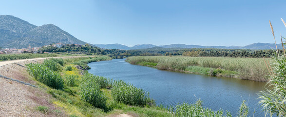 embankment road and lush vegetation on Cedrino river banks, Orosei Marina, Italy © hal_pand_108