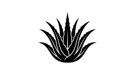 Fototapeta premium Aloe Vera Plant Icon Graphic.
