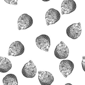 seamless pattern salacca salak fuit hand drawn. fresh skin, top sala, tropical exotic salacca salak fuit black sketch illustration