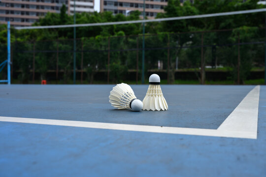 Two shuttlecocks on the badminton court