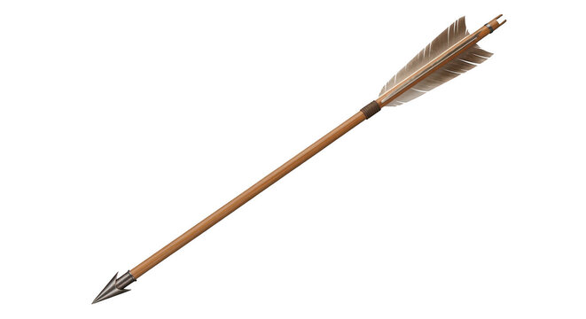 Traditional wooden arrow with feather fletching pointing upward