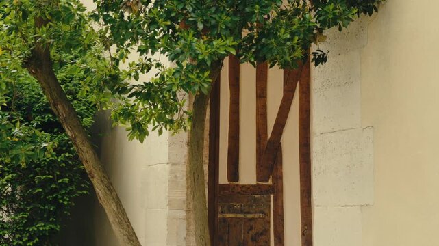 Static shot of a rustic wooden gate with weathered patina, framed by lush green ivy and climbing foliage against a pale stucco wall. Captures charming European garden aesthetic with natural soft light