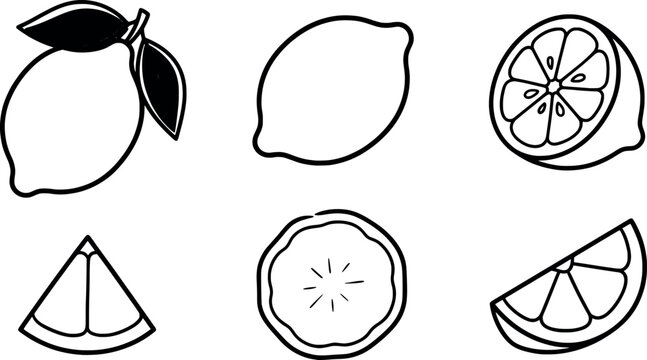 Set of fresh lemons, whole fruits with leaves, half and slices, hand drawn outline vector illustration isolated on white background