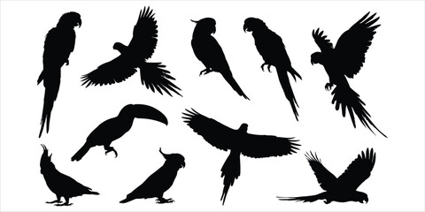 Silhouettes of various parrots and a toucan on a white background Keywords: parrot silhouette, toucan silhouette, bird silhouette © MstSarifa