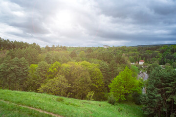 Naklejka premium Pine forest valley scenery, moody storm clouds. Rural hillsides with dense trees under dramatic overcast sky.