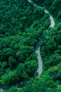 Aerial forest landscape with curved transportation route illustrating sustainable infrastructure, environmental responsibility, biodiversity conservation, and green economic development.