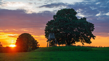 Obraz premium hunting tower next to a majestic oak tree in a field during a dramatic sunset