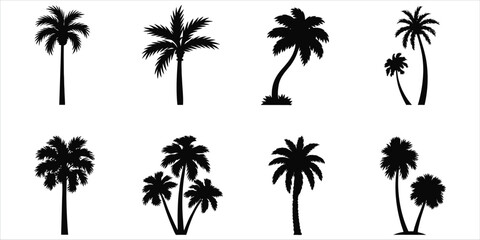 Fototapeta premium Diverse Black Silhouette Palm Trees on White Background vector illustration